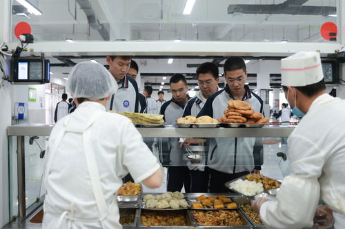 河北定興 智慧監管筑牢校園食品安全防線，企業管理咨詢助力長效提升